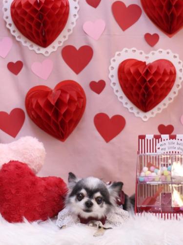 20240218クオンくん